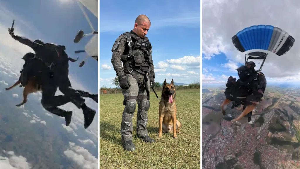 Cão da PM faz história ao ser o primeiro a saltar de paraquedas em treinamento de intervenção tática