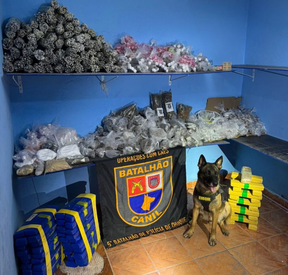 Cão farejador descobre cofre secreto com 156 kg de drogas em casa