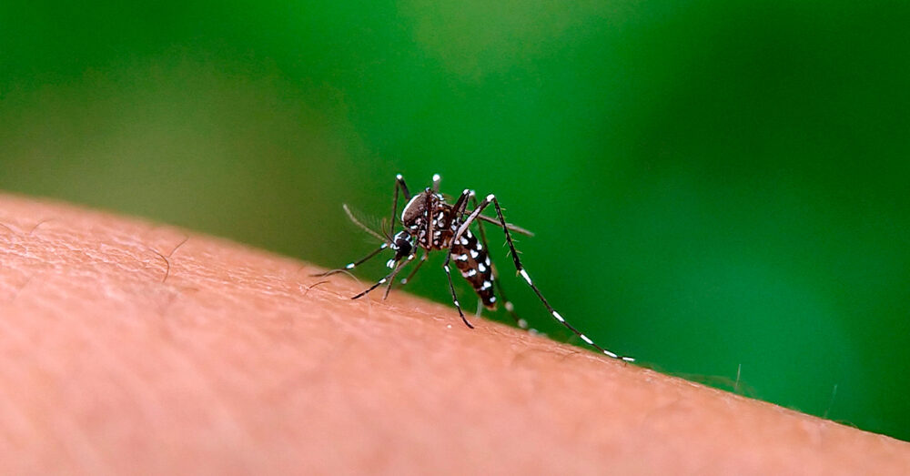 Dengue em Araçatuba ultrapassa 10 mil casos positivos; cidade registra 9 óbitos