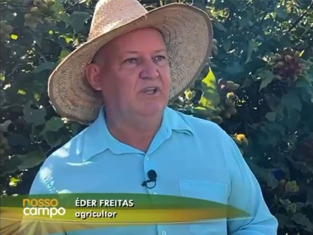 🌱 Produção de urucum em Castilho é destaque no programa “Nosso Campo” da TV Globo