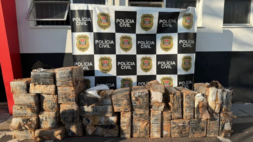 Polícia Civil encontra quase uma tonelada de maconha escondida em poço
