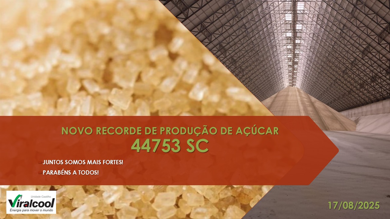 Grupo Viralcool atinge novo recorde de produção de açúcar em Castilho