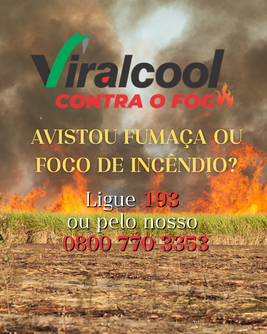 Viralcool intensifica campanha contra incêndios e reforça canais de denúncia