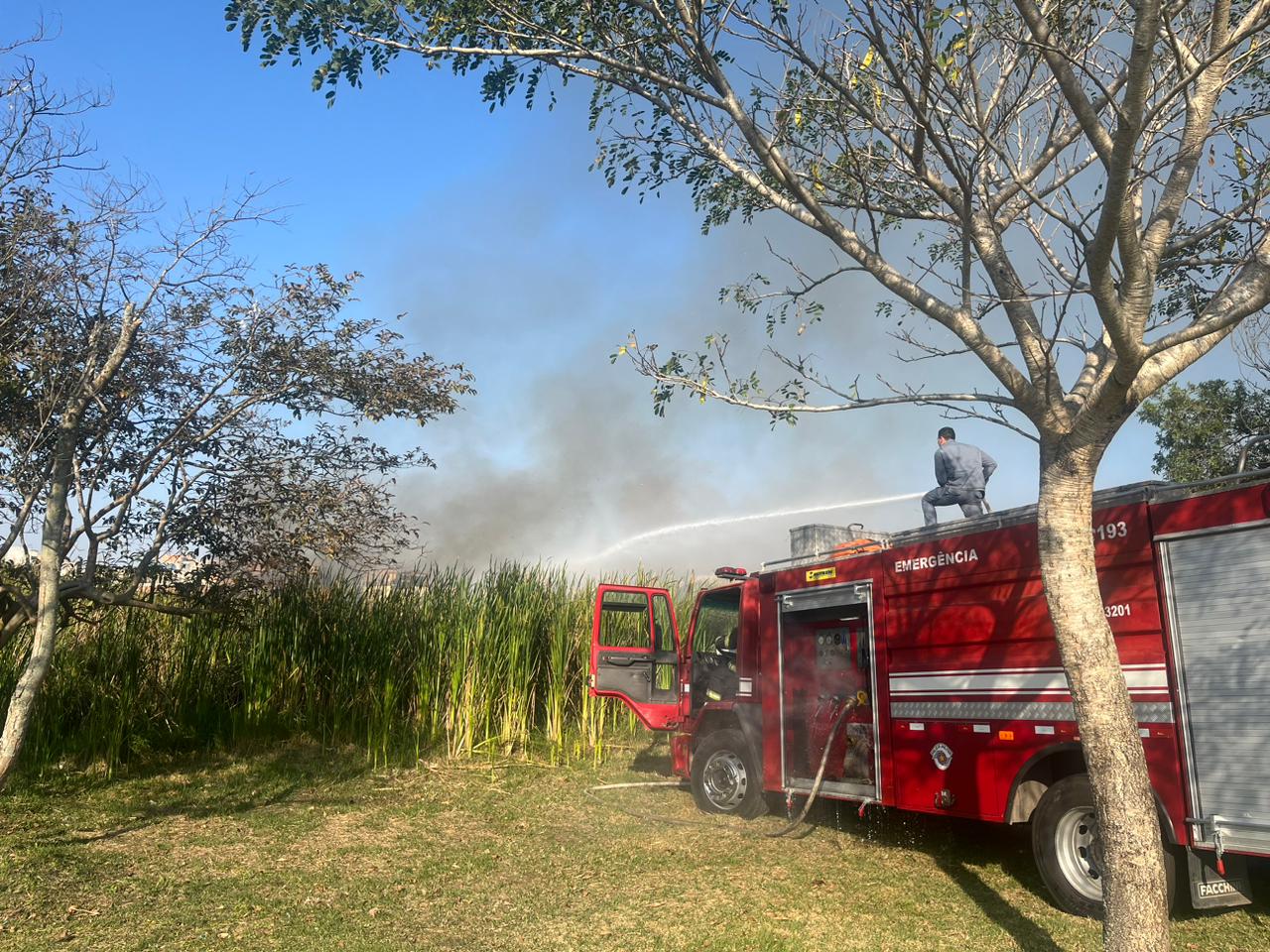 São Paulo investe R$ 11 milhões para reforçar combate a incêndios em áreas protegidas