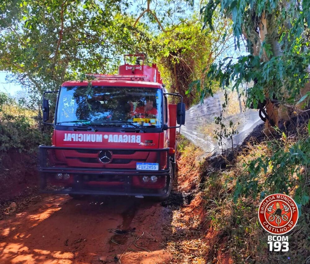 Defesa Civil alerta para baixa umidade e risco de incêndios; fogo atinge vegetação em Castilho