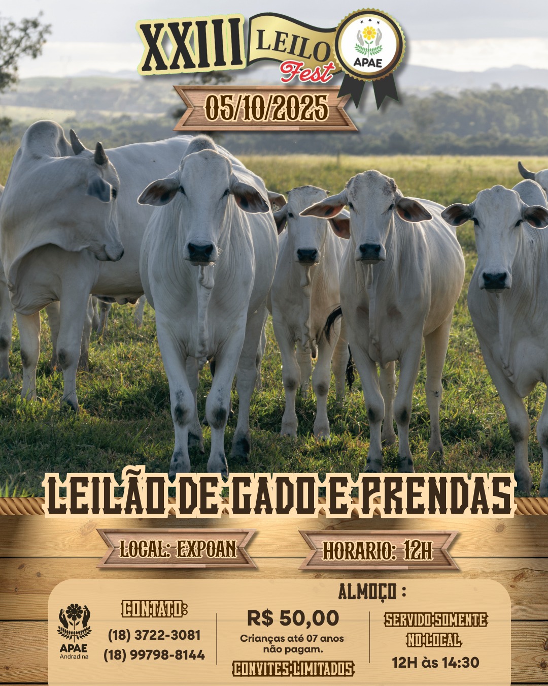 APAE Andradina promove o XXIII Leilo Fest em outubro