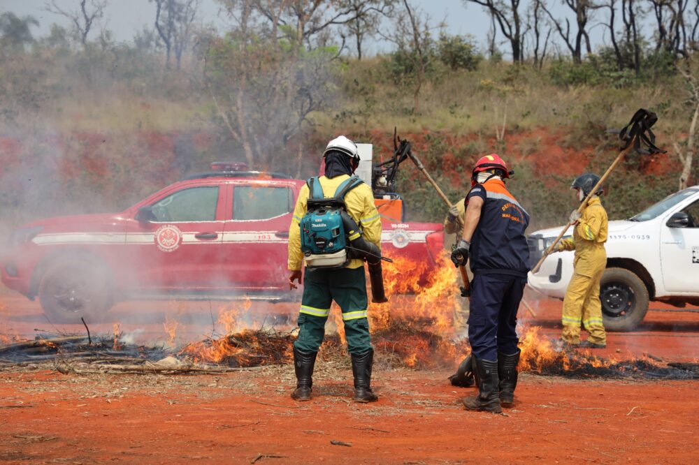 Polícia Militar Ambiental de SP recebe prêmio nacional por combate a crimes ambientais e uso de tecnologia inovadora