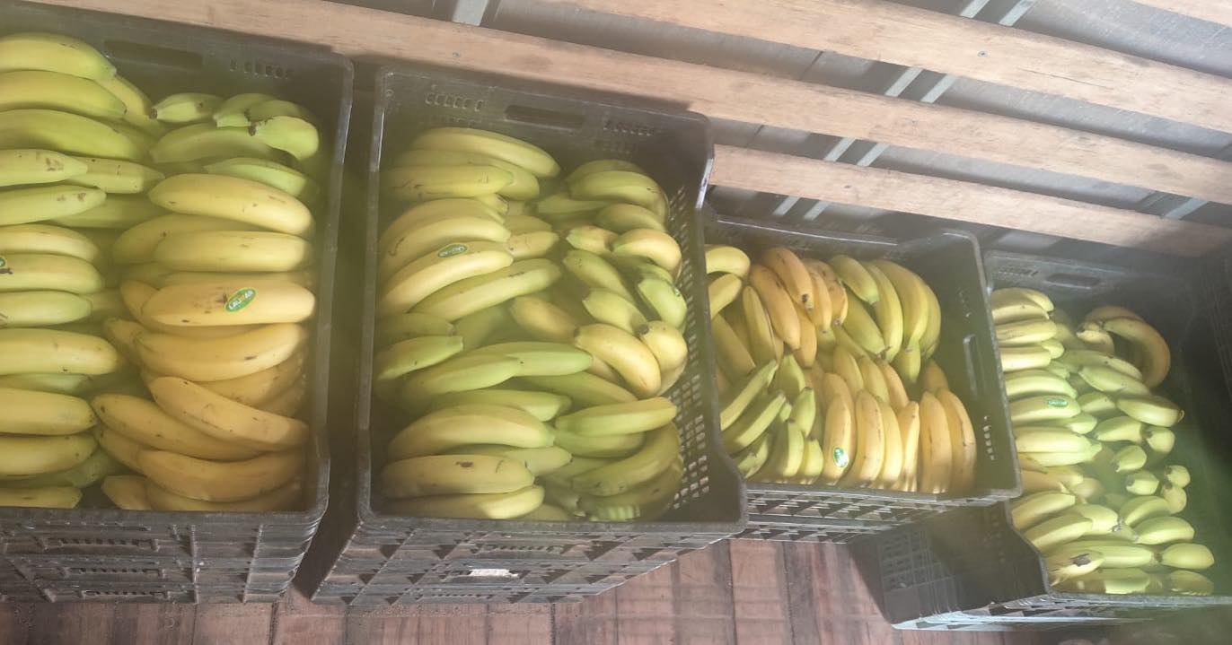 Motorista é preso em flagrante por desviar e revender caixas de banana em Andradina