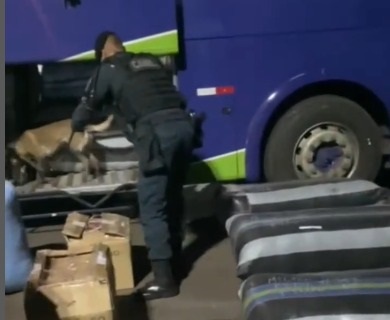 Jovem morre após ingerir 70 cápsulas de cocaína durante viagem na divisa de Castilho e Três Lagoas