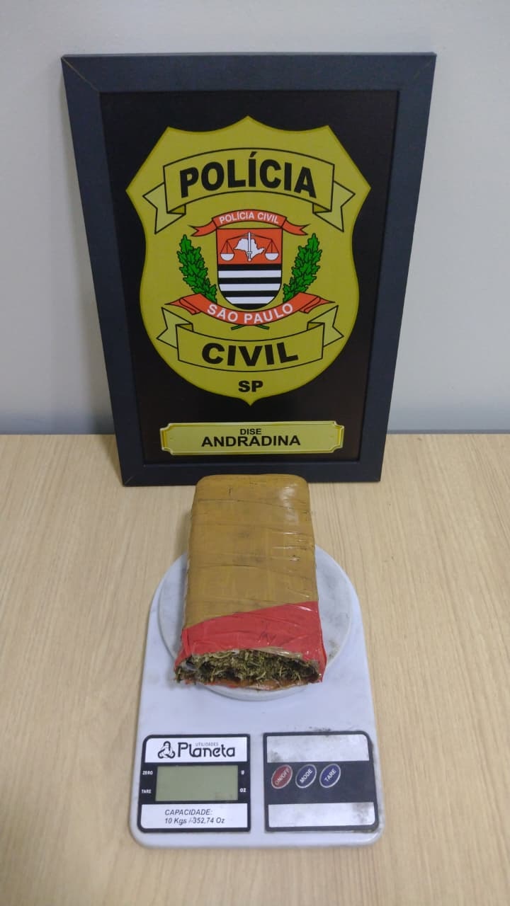 DISE prende suspeito com 453g de maconha no Jardim Santa Cecília, em Andradina