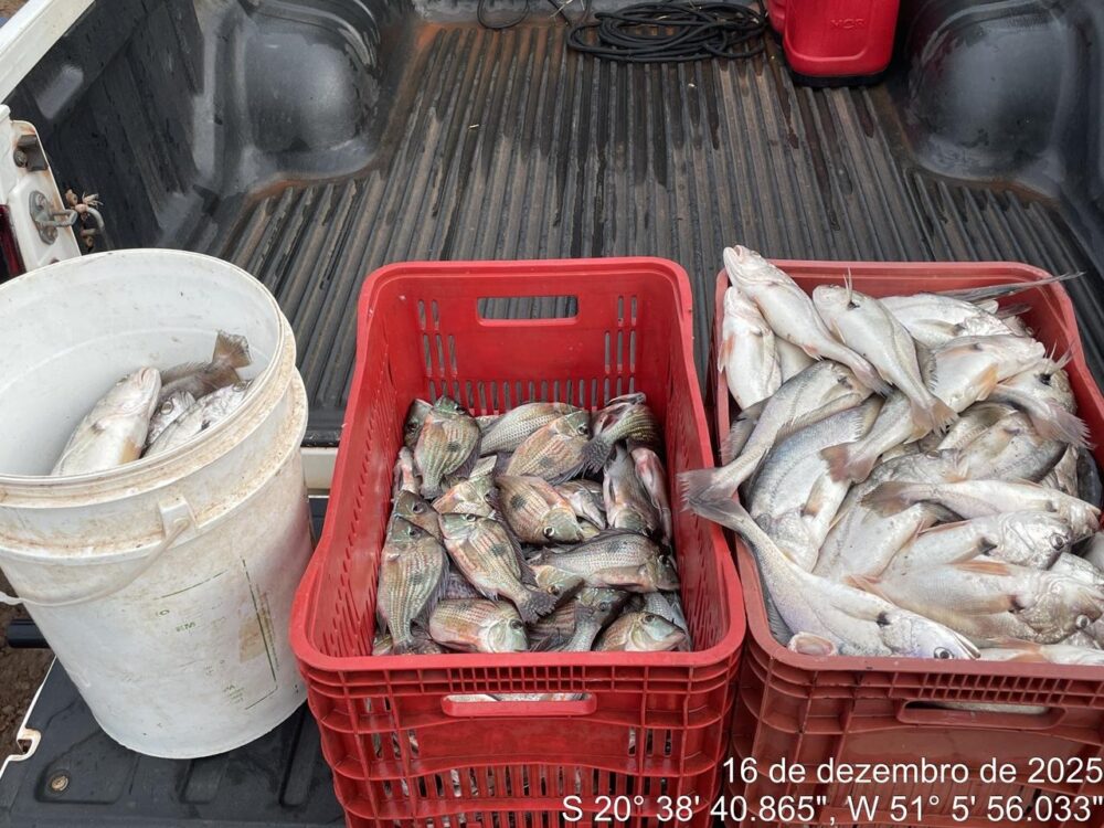 Polícia Ambiental autua pescador por pesca ilegal durante período de defeso em Pereira Barreto