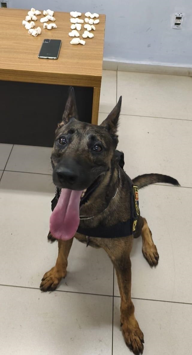 PM apreende drogas e detém suspeito