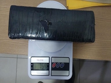 Policiais são atacados por pitbull durante ocorrência