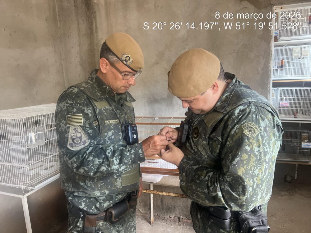 Criador recebe multa de R$ 11 mil