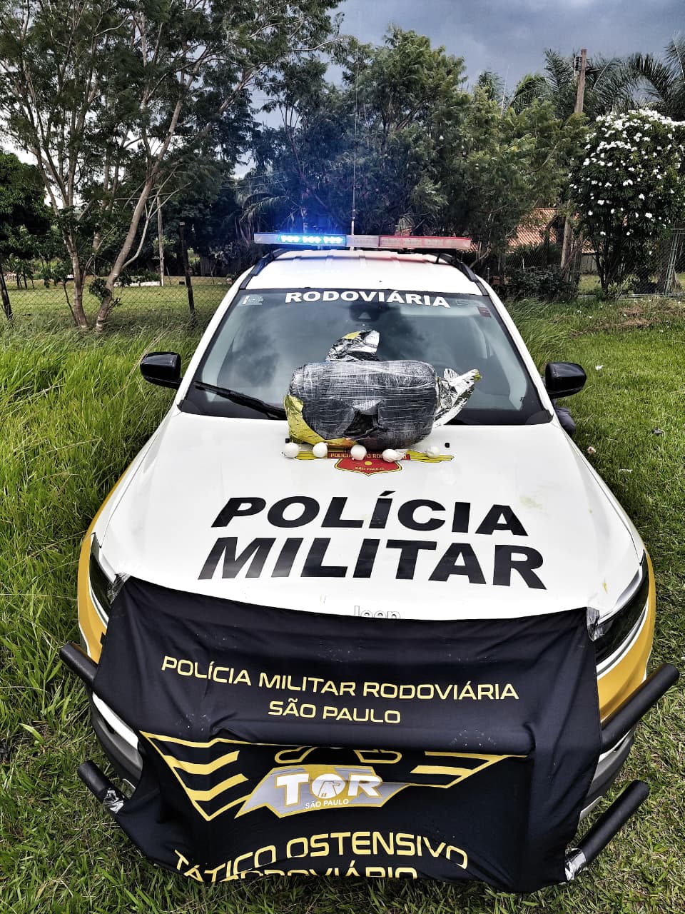 Passageira é presa com 5,4 kg de skunk