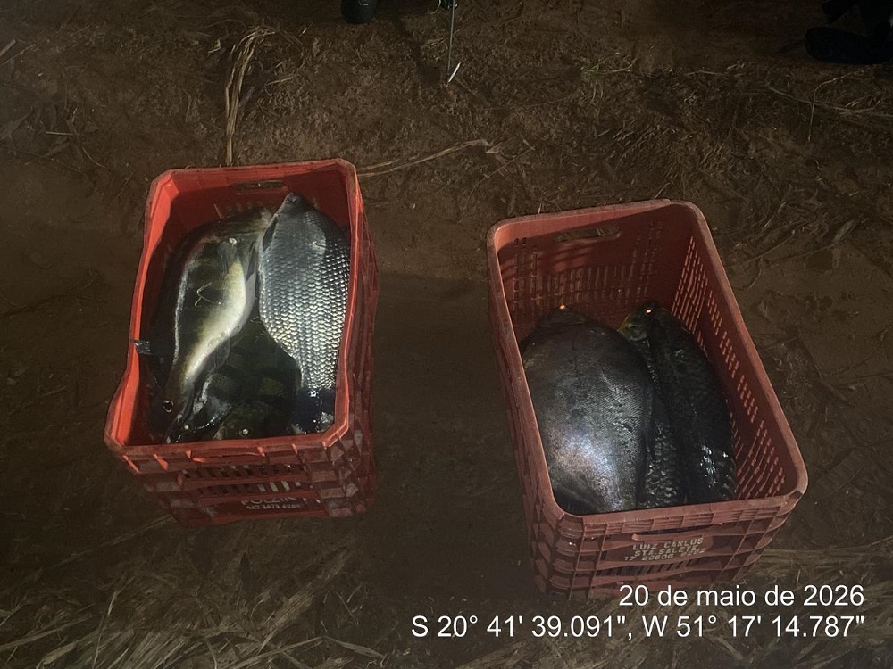 Polícia Ambiental apreende 47 kg de peixes