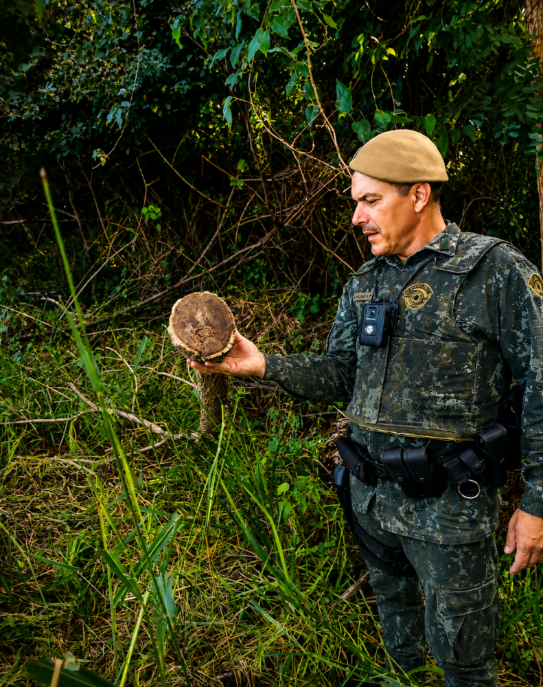 Polícia Ambiental aplica mais de R$ 45 mil em multas após supressão de vegetação nativa em propriedade rural de Buritama