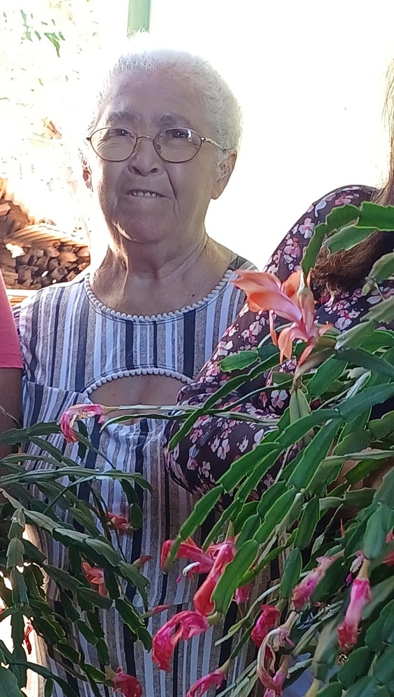 Castilho se despede de Maria José da Costa Franca aos 81 anos